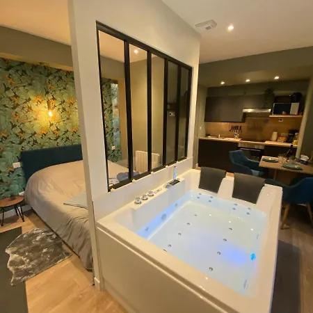 Avec Baignoire Balneo Centre De - 040 公寓